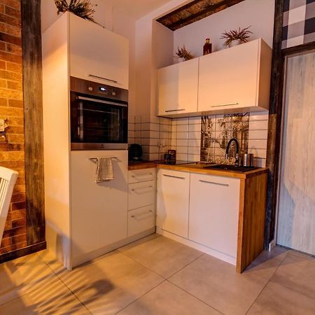Apartamenty U Rybki Krynica - Zdroj Екстер'єр фото